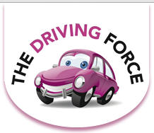 Driving Foce Logo
